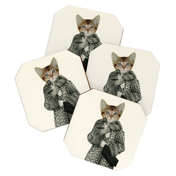 Kitten Dressed as Cat Coaster Gallery Image 1