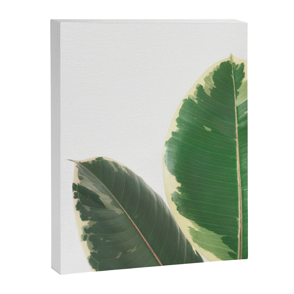 Leaf Study Canvas Print Gallery Image 6