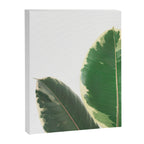 Leaf Study Canvas Print Gallery Image 6