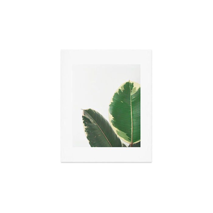 Leaf Study Art Print Gallery Image 1