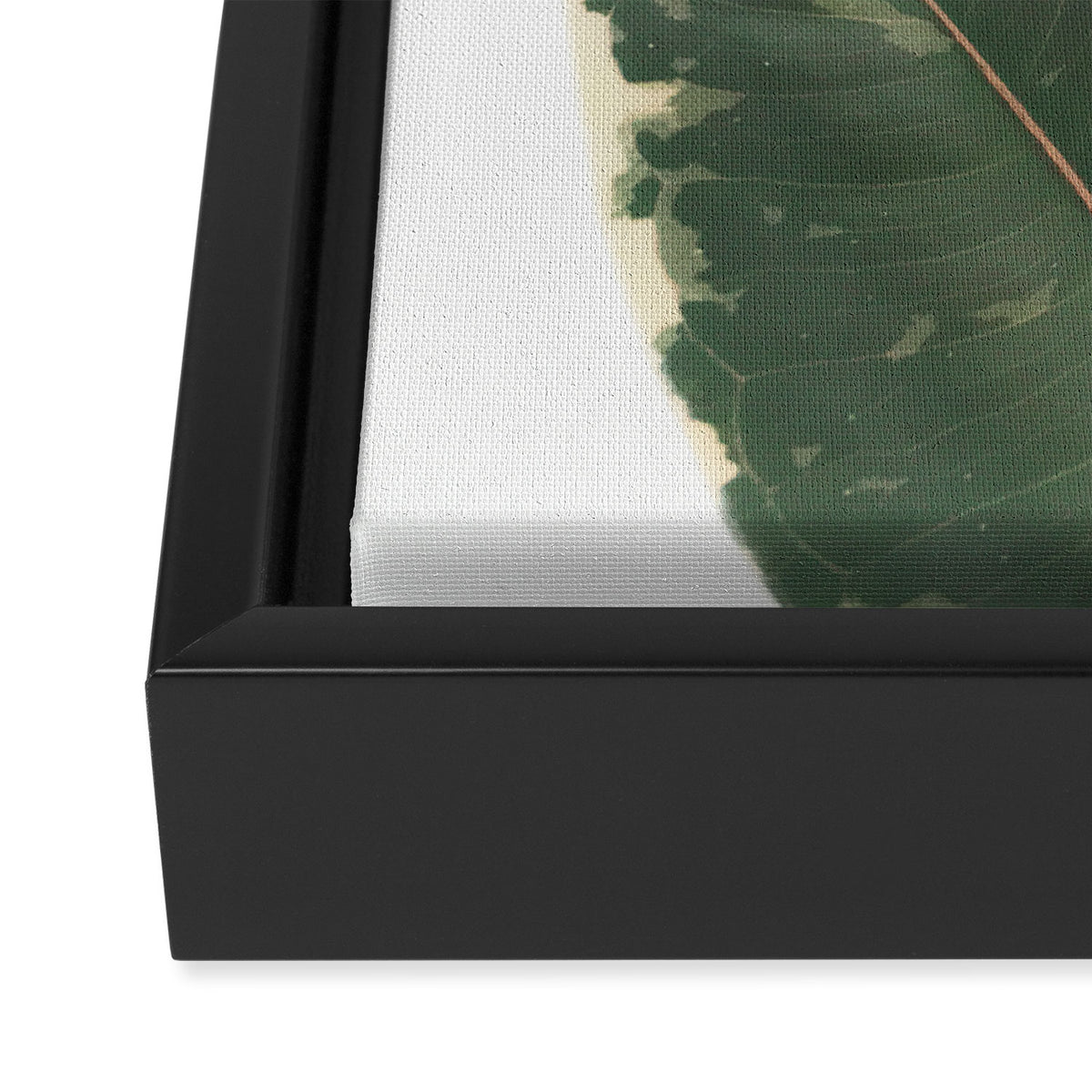Leaf Study Framed Canvas Print Gallery Image 3
