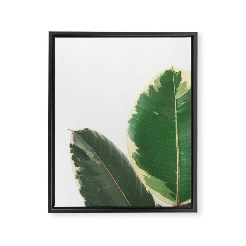 Leaf Study Framed Canvas Print Gallery Image 6
