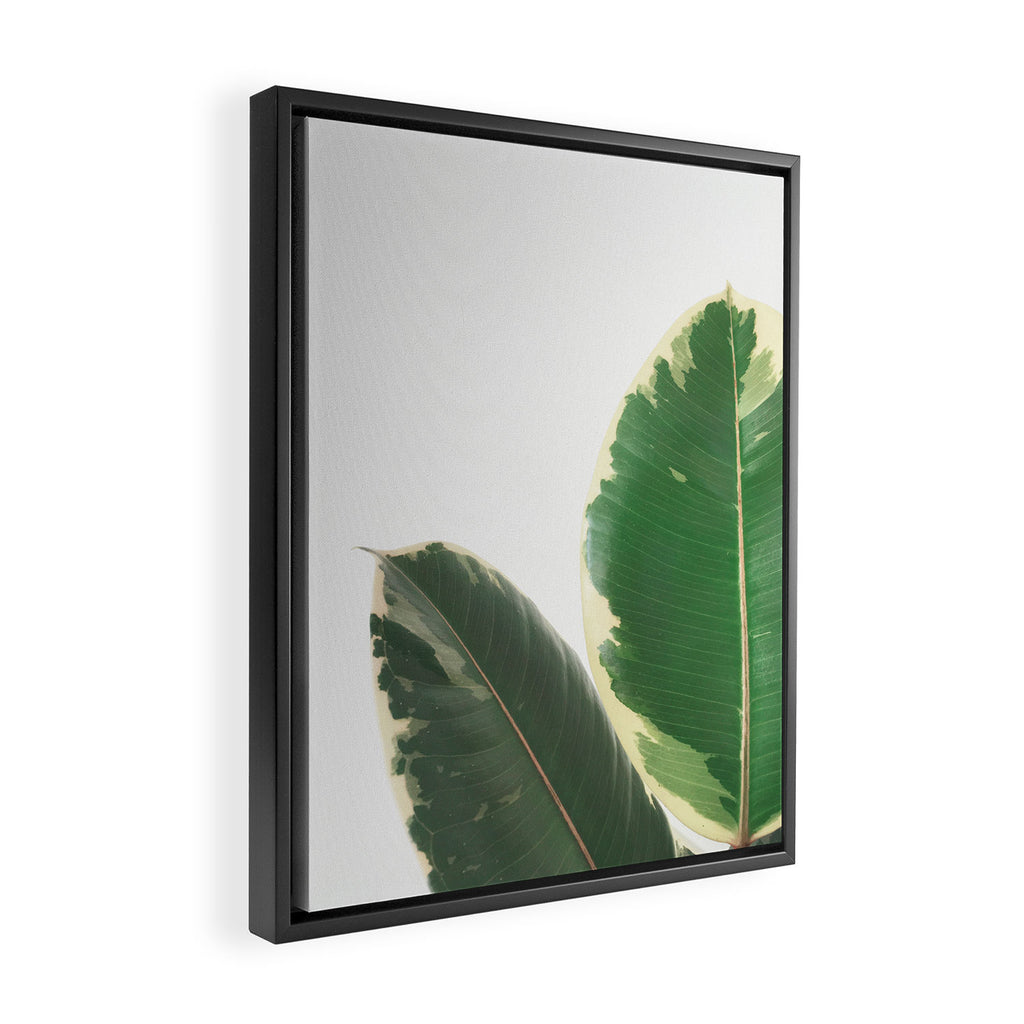 Leaf Study Framed Canvas Print Gallery Image 2