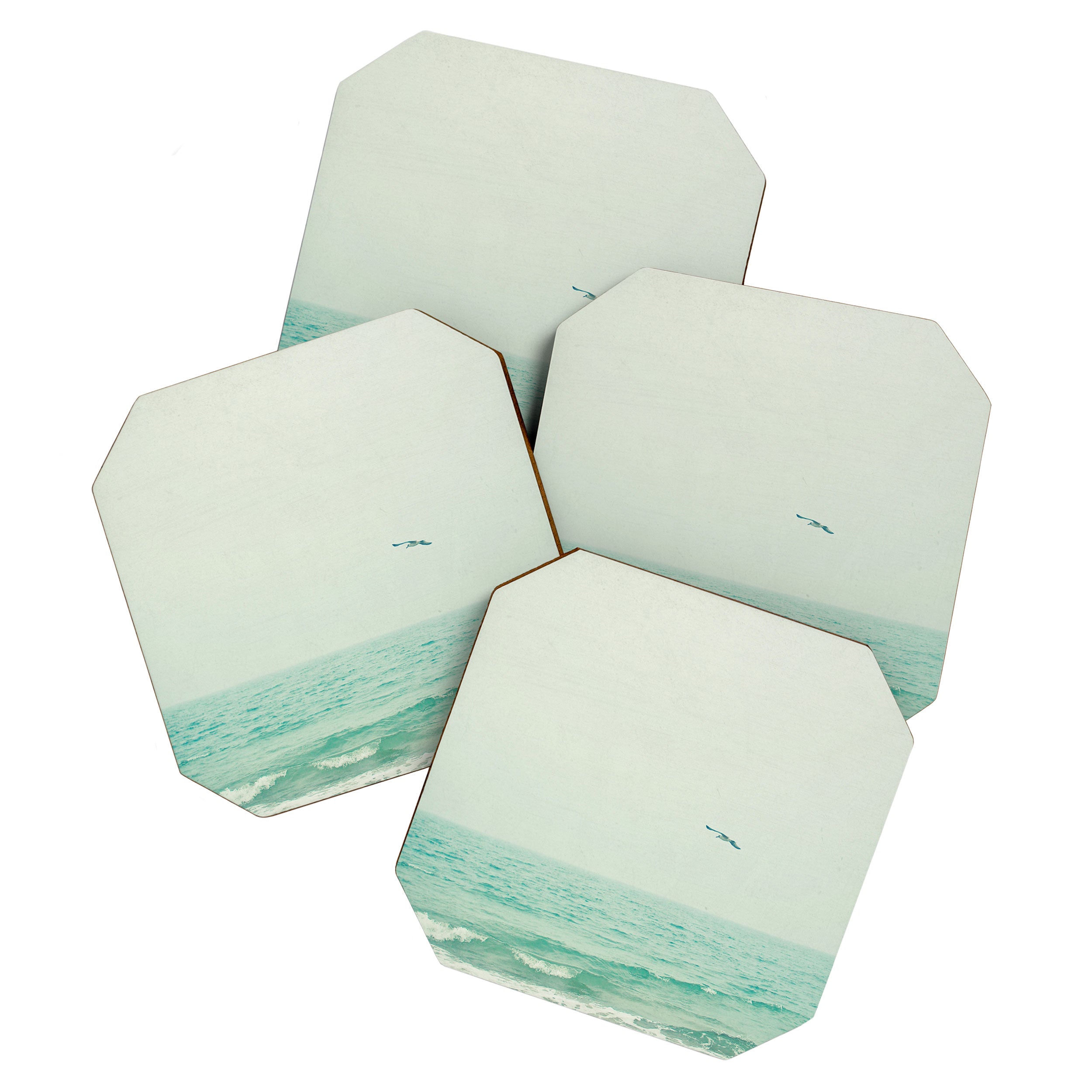 Lone Bird Coaster Gallery Image 1