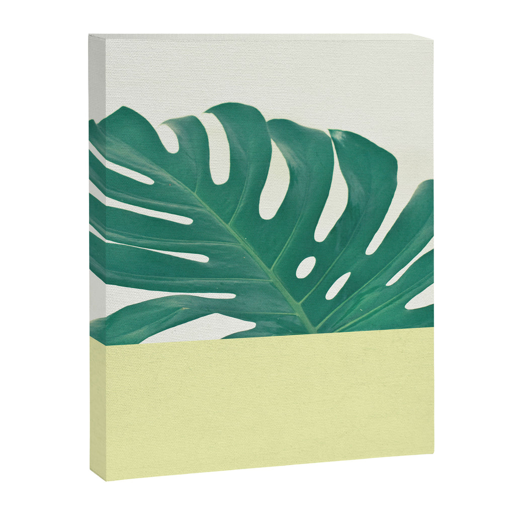 Monstera Dip II Canvas Print Gallery Image 8