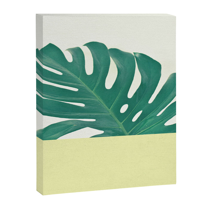Monstera Dip II Canvas Print Gallery Image 1