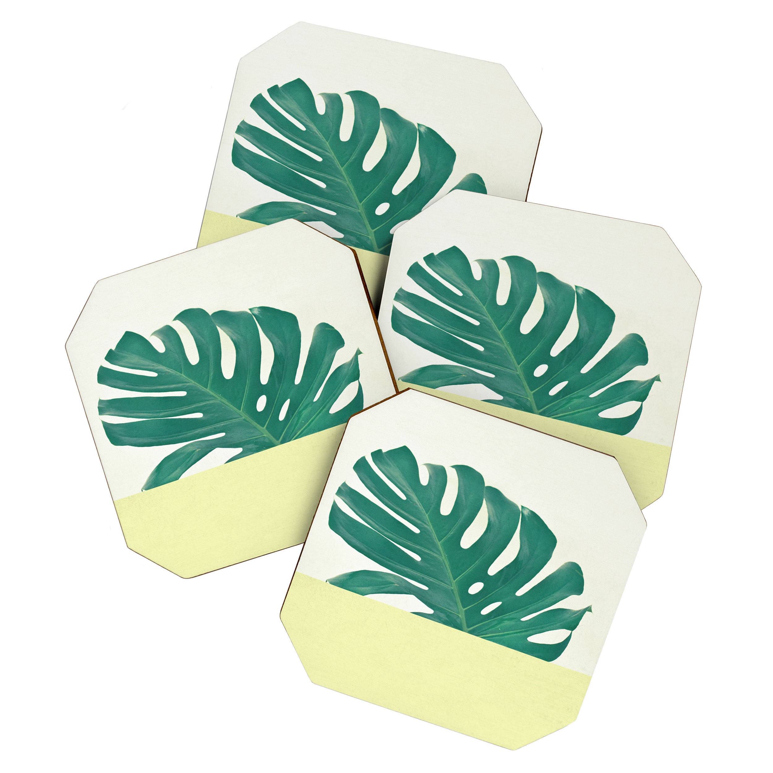 Monstera Dip II Coaster Gallery Image 1