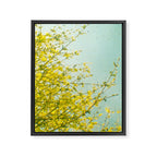 Morning Light Framed Canvas Print Gallery Image 8