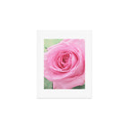 Morning Rose Art Print Gallery Image 1