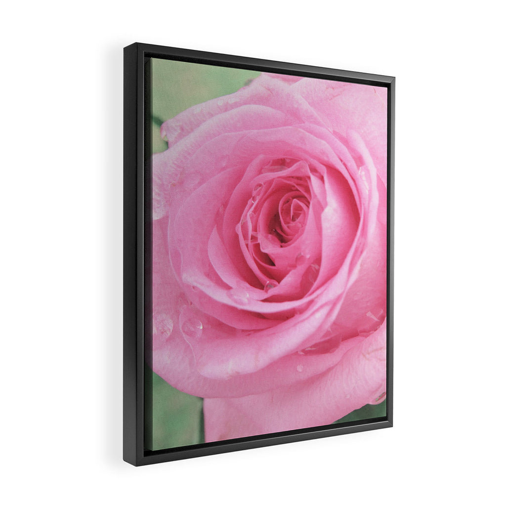Morning Rose Framed Canvas Print Gallery Image 2