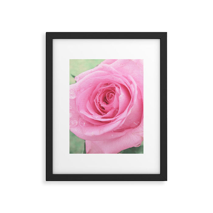 Morning Rose Framed Art Print Gallery Image 1