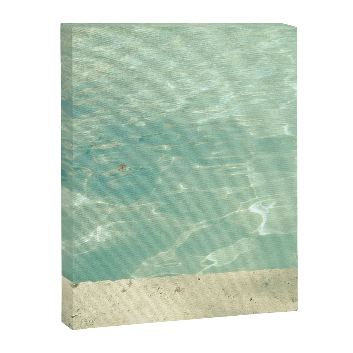 Morning Swim Canvas Print Gallery Image 8