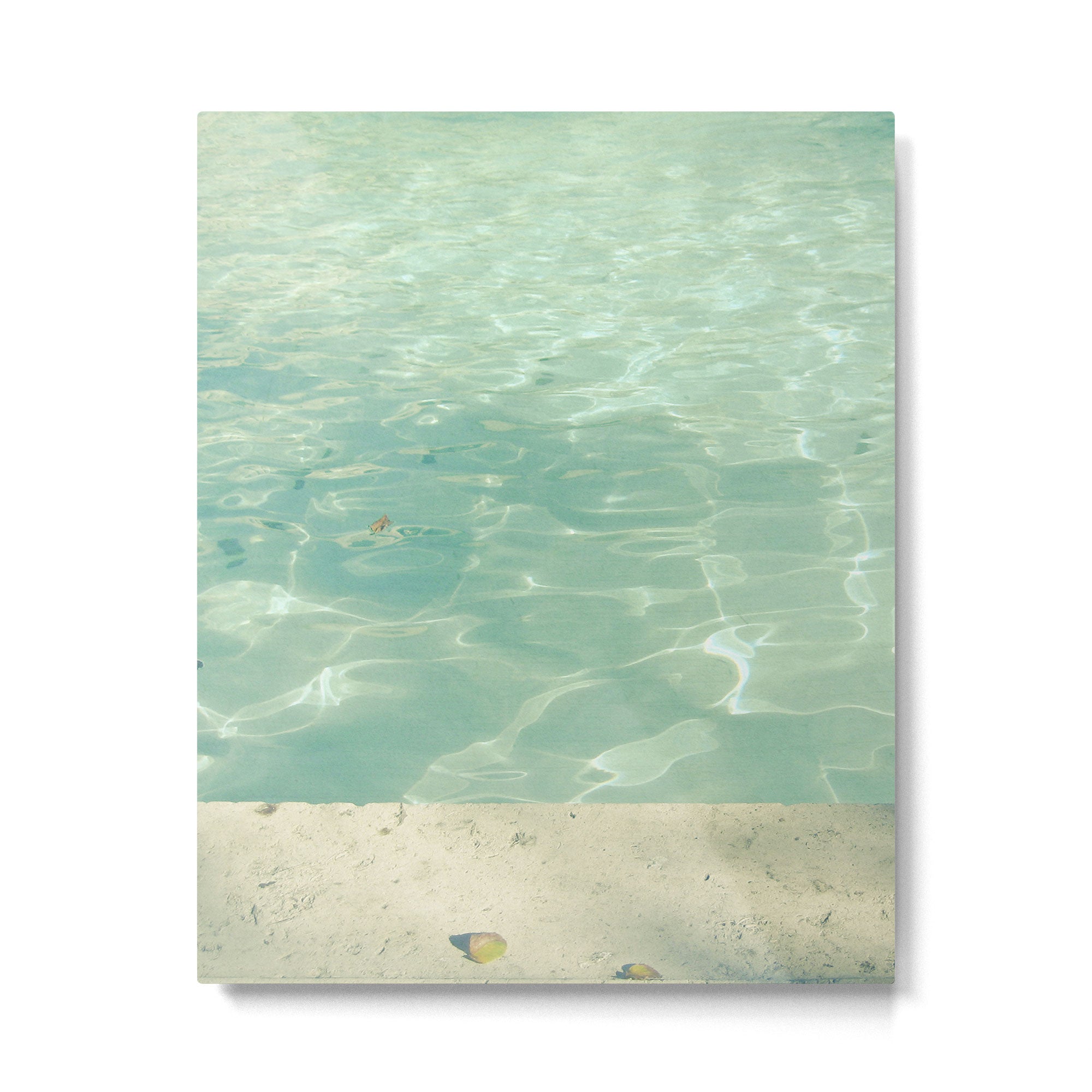 Morning Swim Metal Print Gallery Image 6