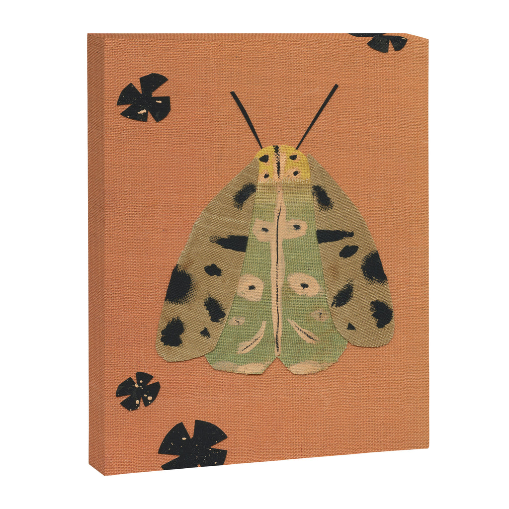 Moth I Canvas Print Gallery Image 6