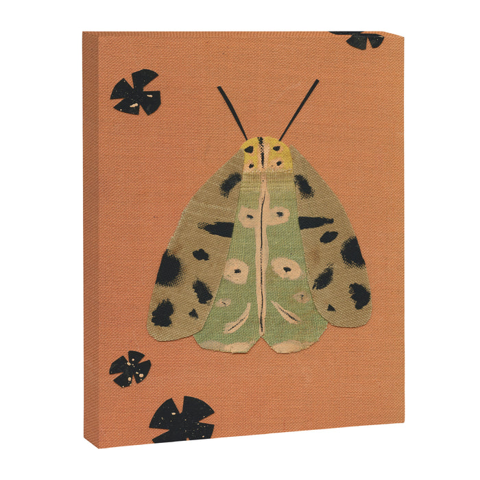 Moth I Canvas Print Gallery Image 1