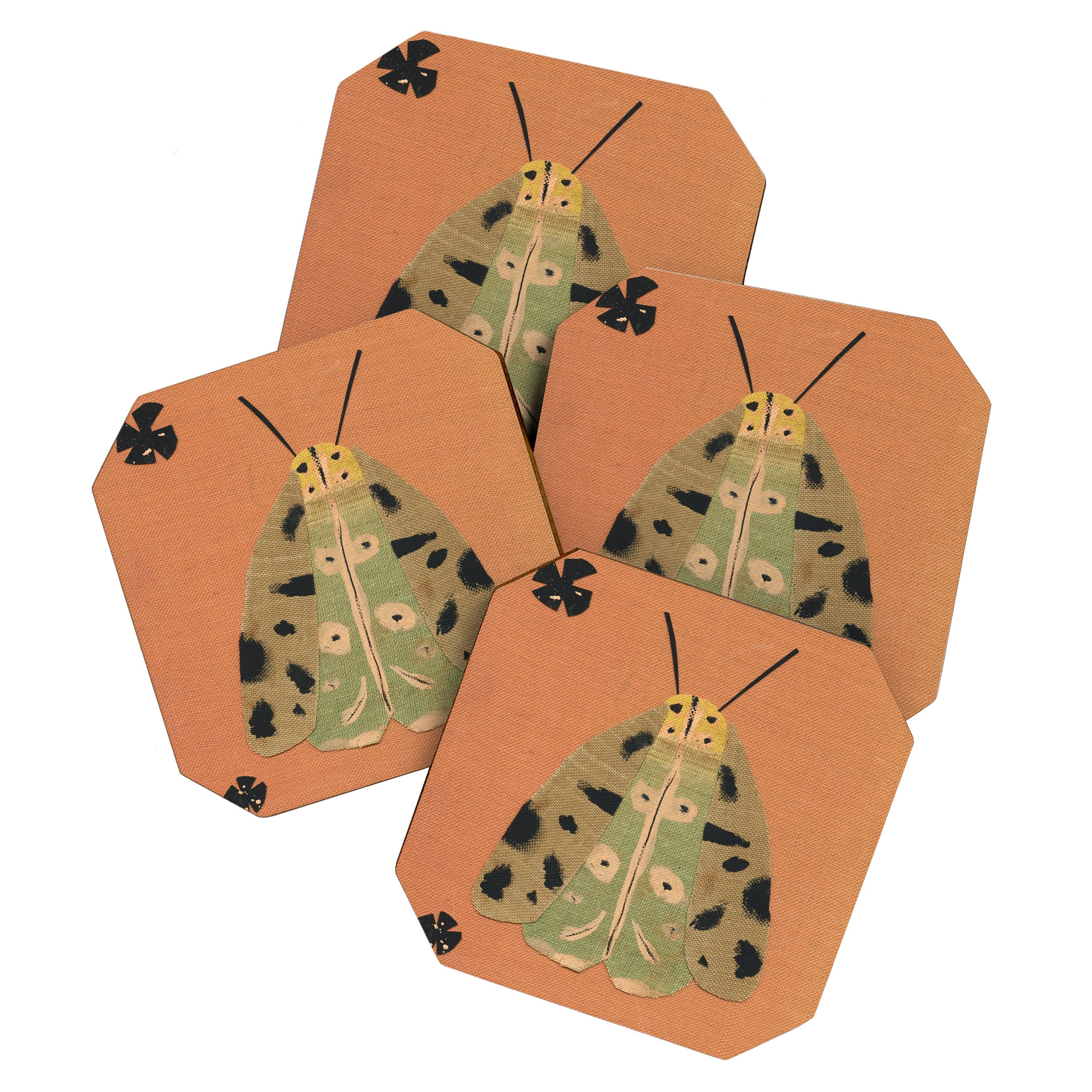 Moth I Coaster Gallery Image 1