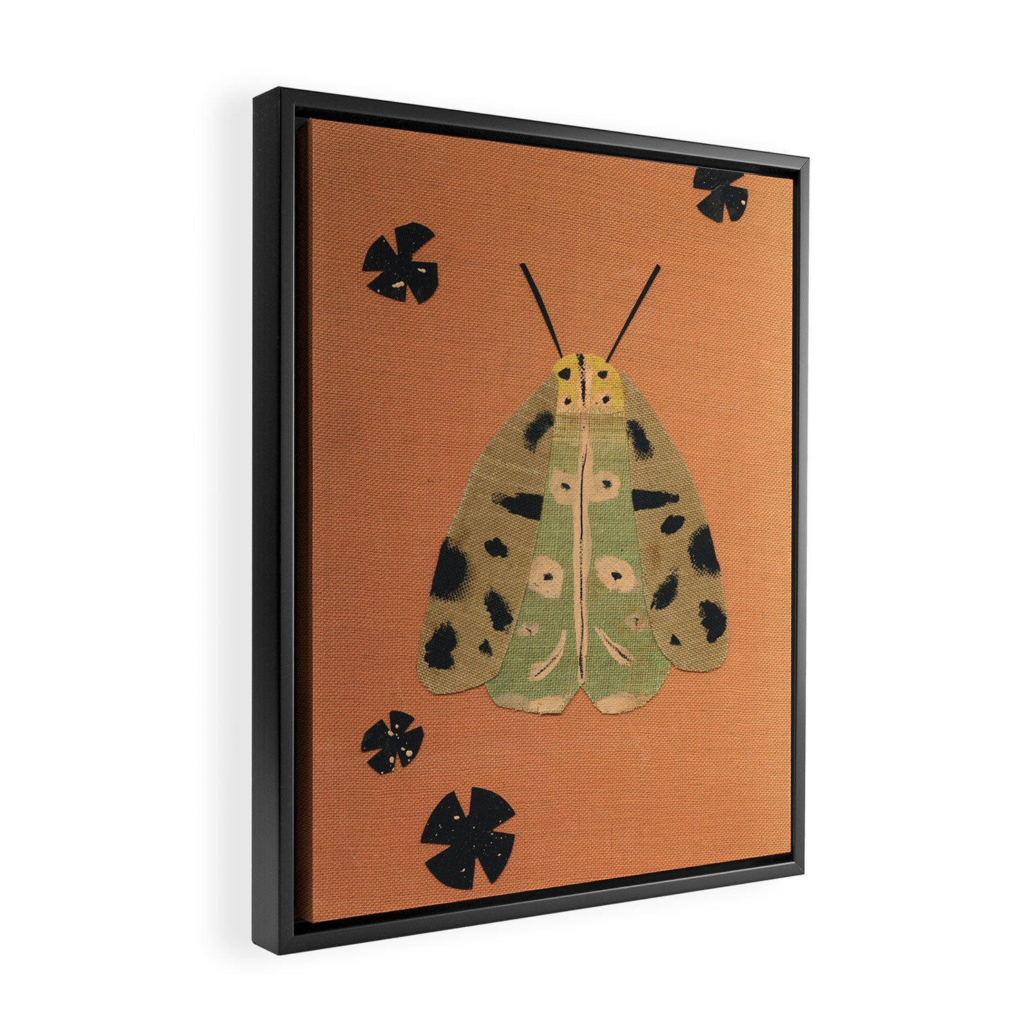 Moth I Framed Canvas Print Gallery Image 2