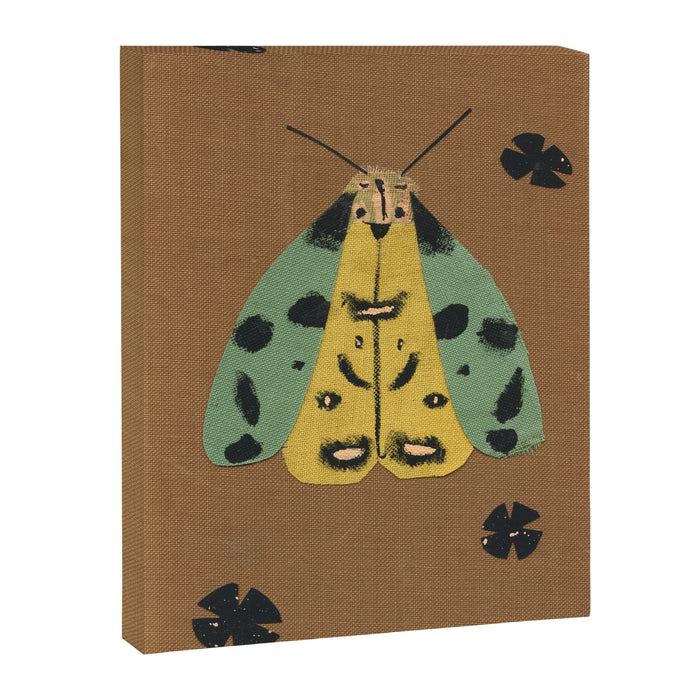 Moth II Canvas Print Gallery Image 1