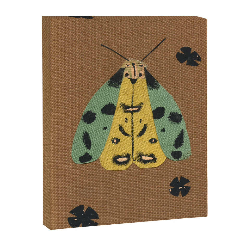Moth II Canvas Print Gallery Image 6