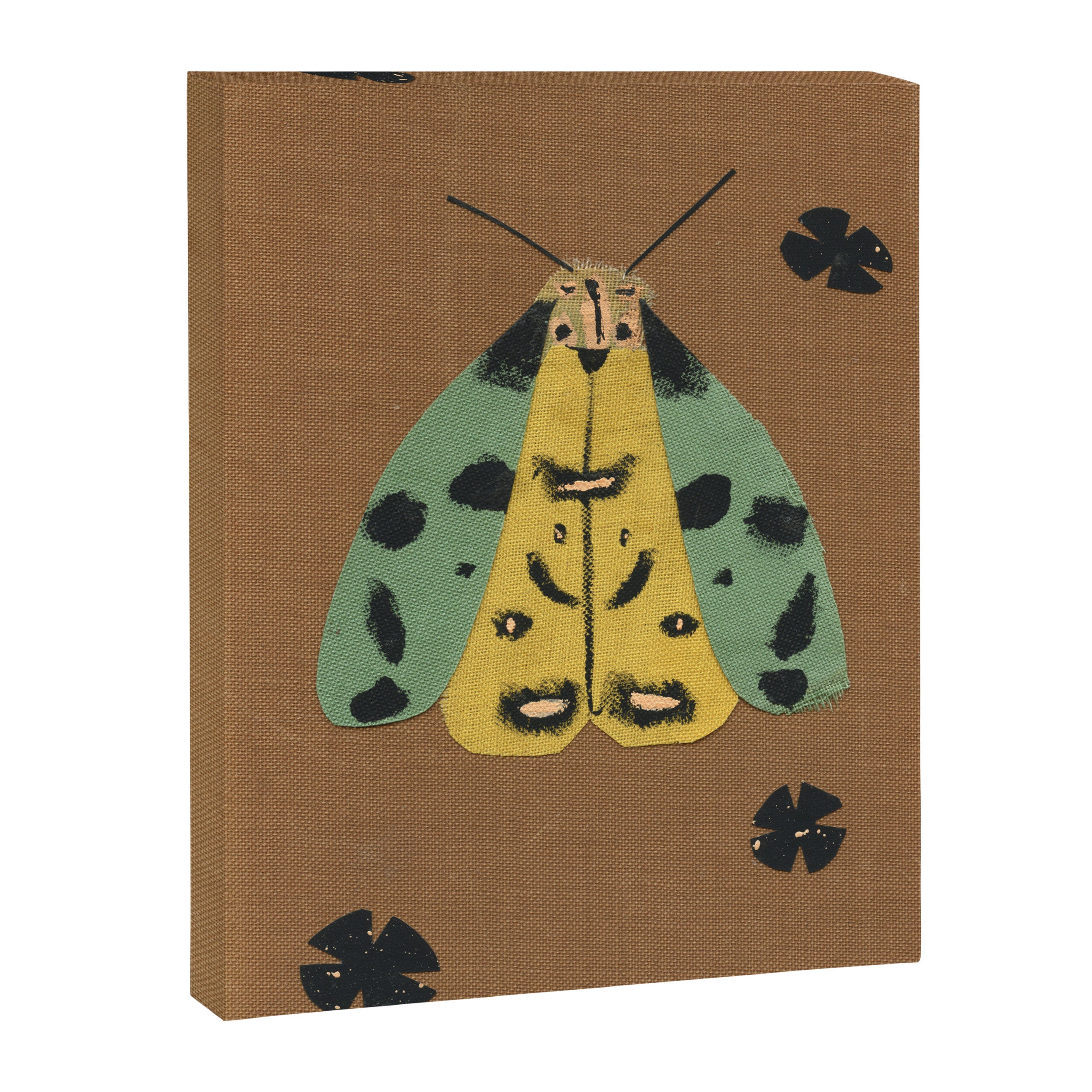 Moth II Canvas Print Gallery Image 6