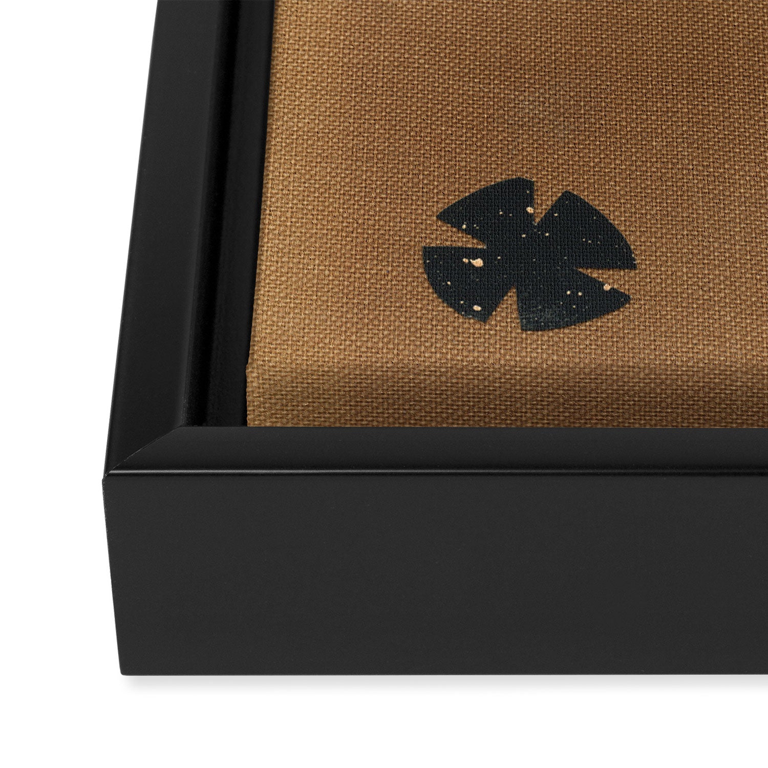 Moth II Framed Canvas Print Gallery Image 3