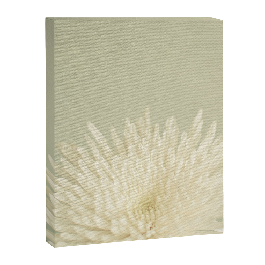 Pale Beauty Canvas Print Gallery Image 8