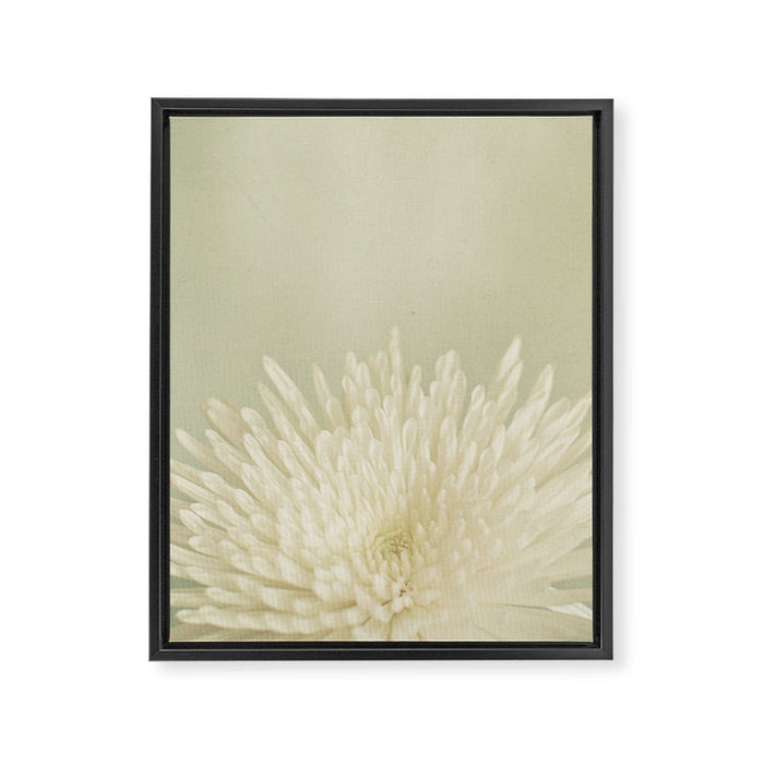 Pale Beauty Framed Canvas Print Gallery Image 1