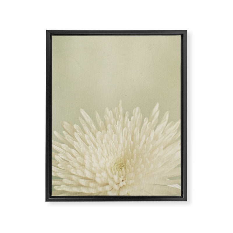 Pale Beauty Framed Canvas Print Gallery Image 8