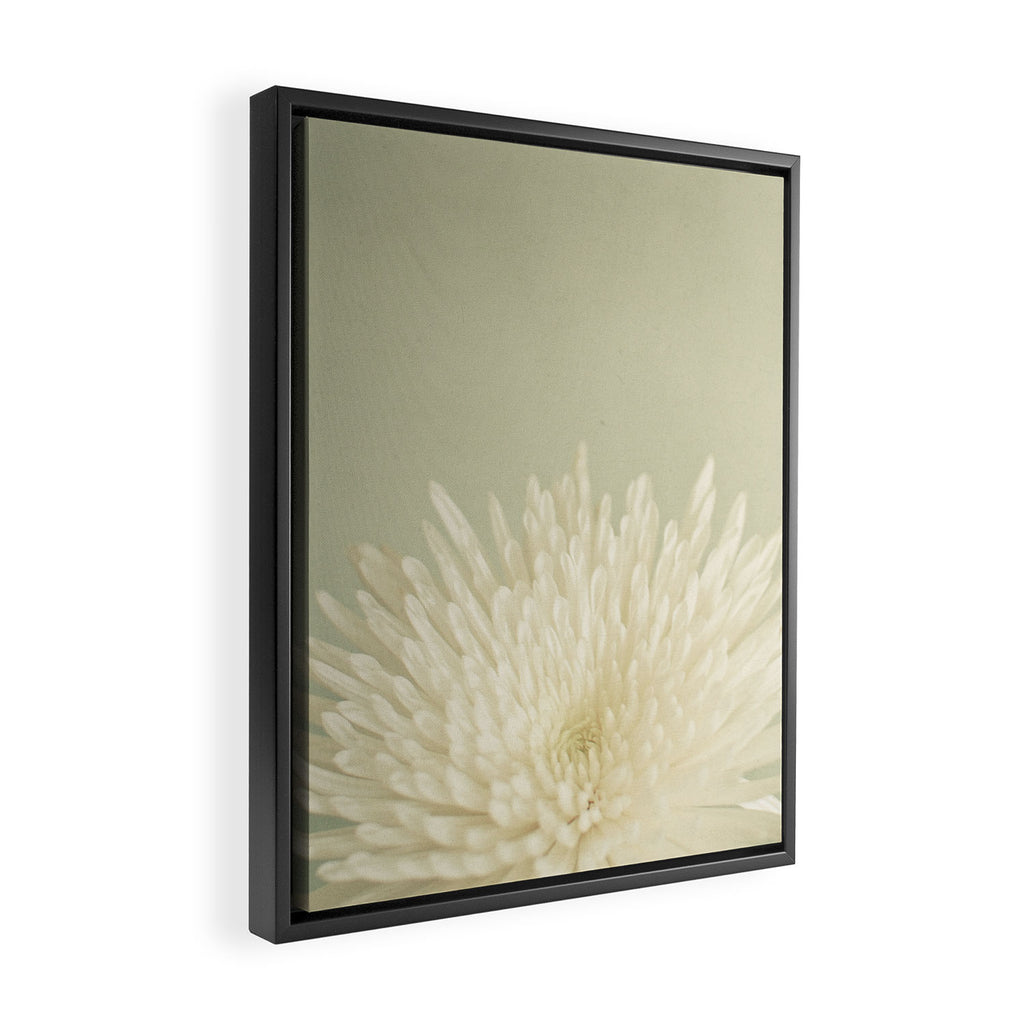 Pale Beauty Framed Canvas Print Gallery Image 2
