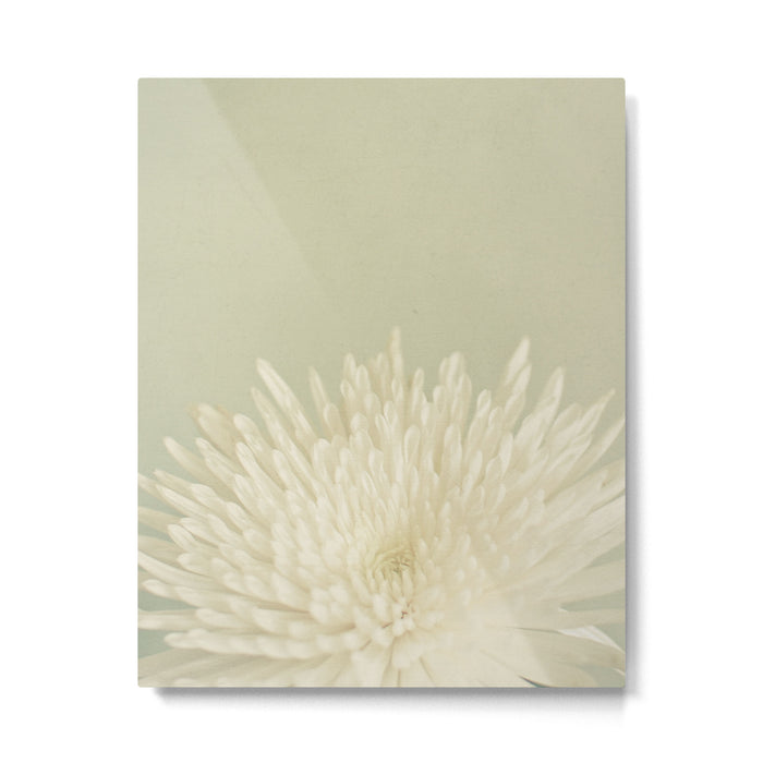 Pale Beauty Metal Print Gallery Image 1