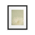 Pale Beauty Framed Art Print Gallery Image 6