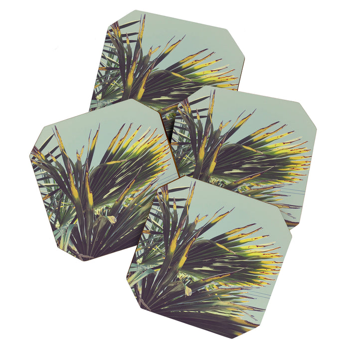 Palm Tree Coaster Gallery Image 1