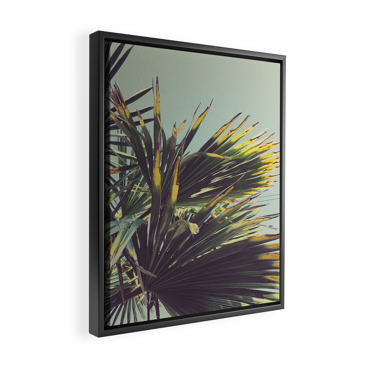 Palm Tree Framed Canvas Print Gallery Image 2