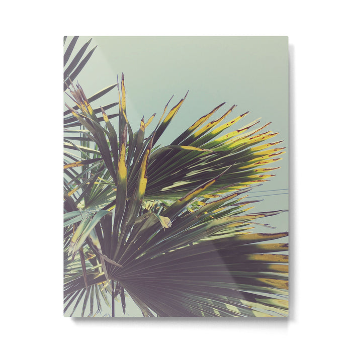 Palm Tree Metal Print Gallery Image 1