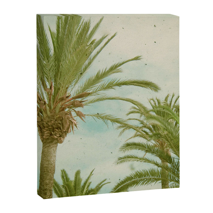 Palm Trees Canvas Print Gallery Image 1
