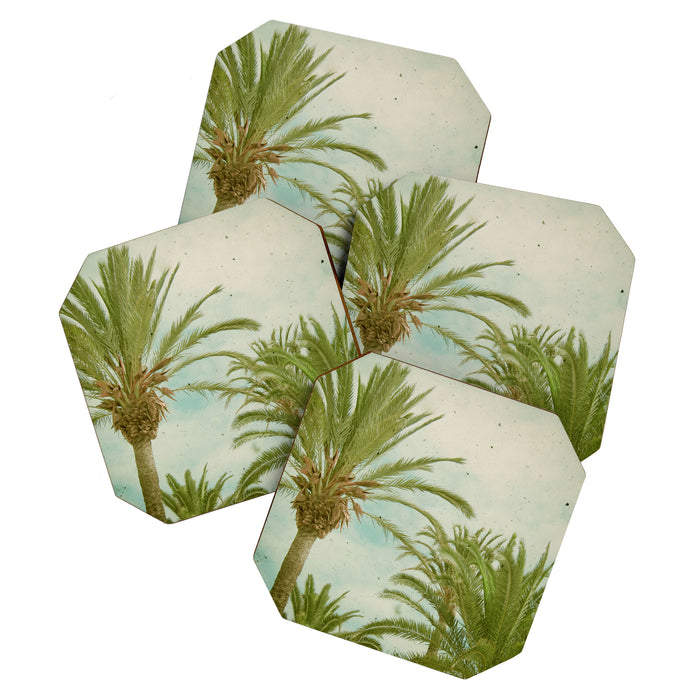 Palm Trees Coaster Gallery Image 1