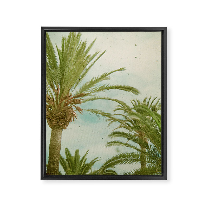 Palm Trees Framed Canvas Print Gallery Image 8
