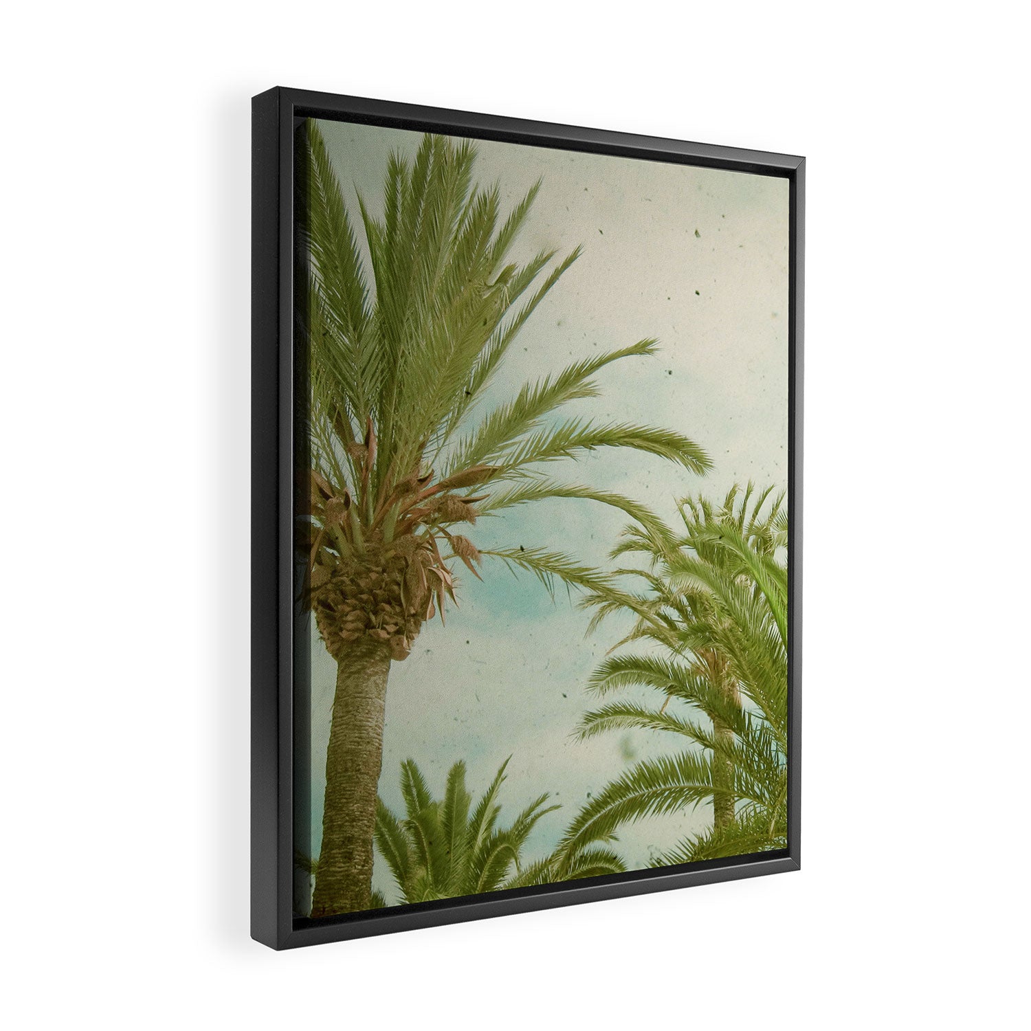 Palm Trees Framed Canvas Print Gallery Image 2