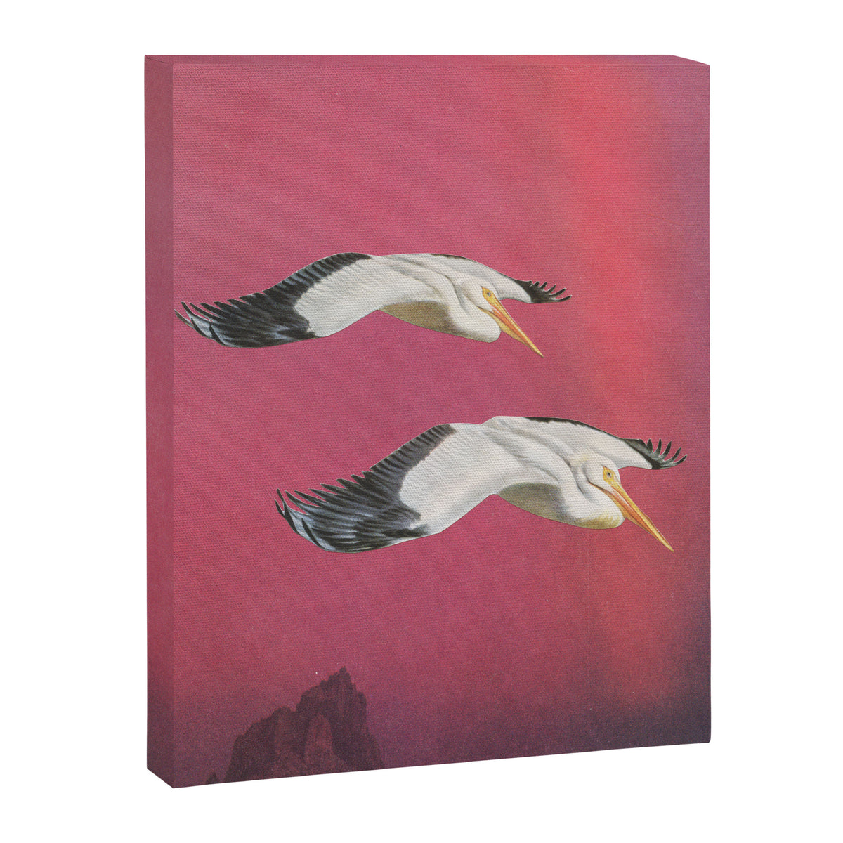 Pelicans in Space Canvas Print Gallery Image 6