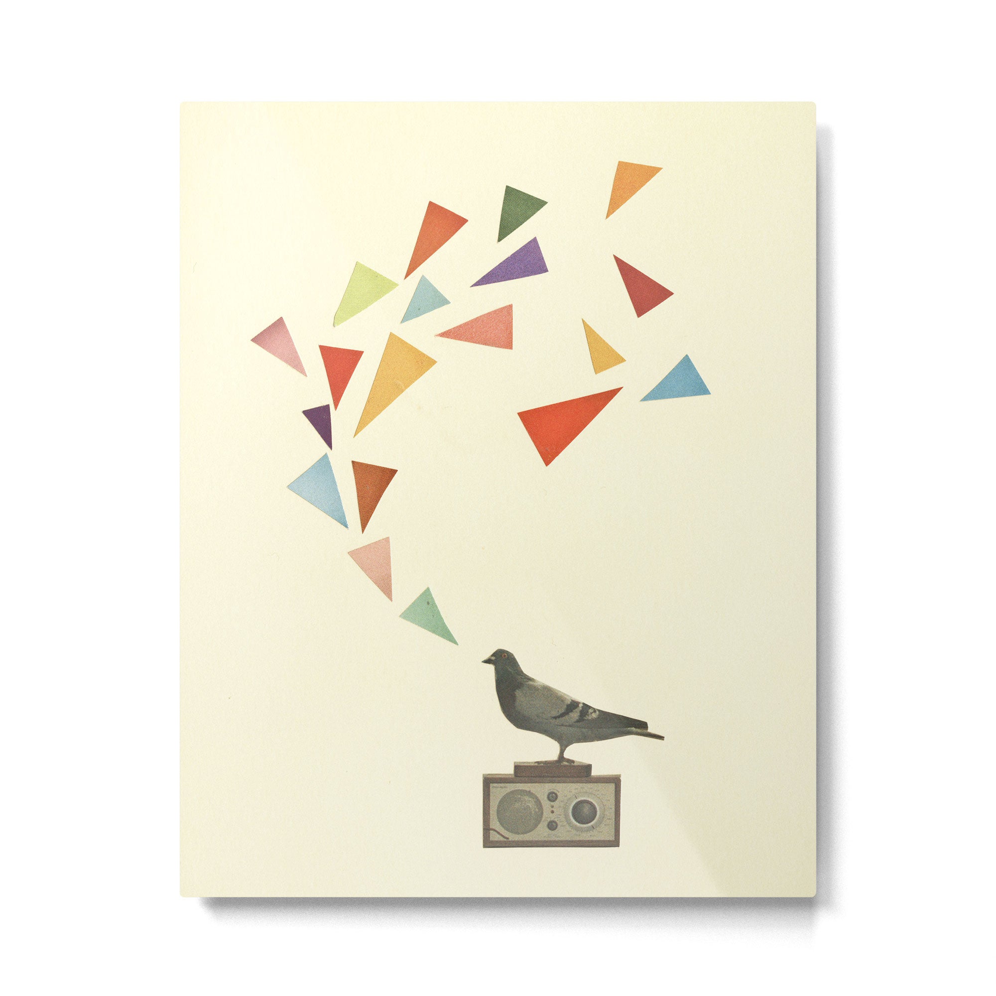 Pigeon Radio Metal Print Gallery Image 4