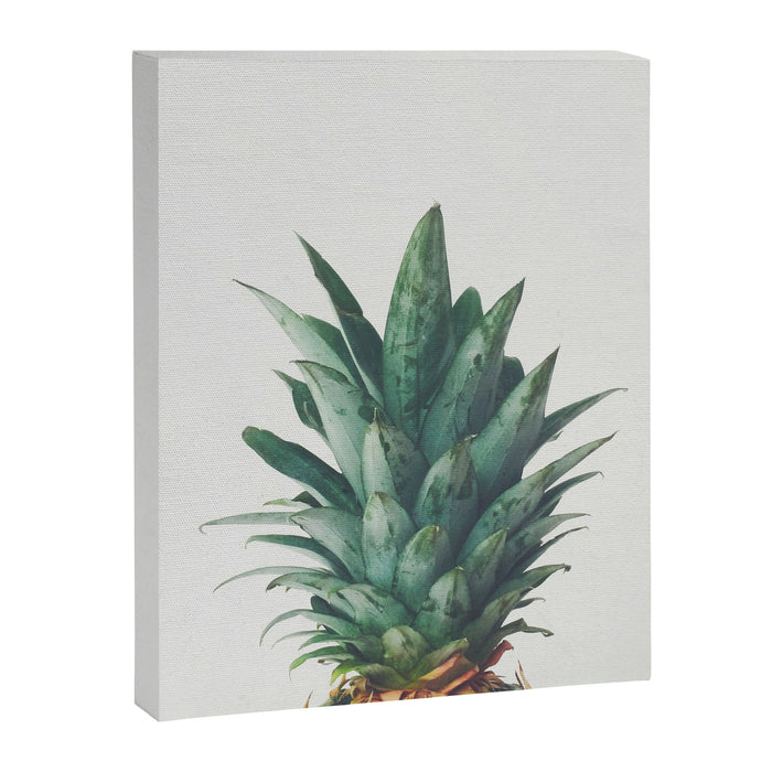 Pineapple Top Canvas Print Gallery Image 1