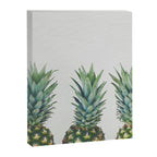 Pineapple Trio Canvas Print Gallery Image 8