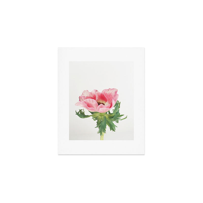 Pink Anemone Art Print Gallery Image 1