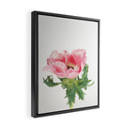 Pink Anemone Framed Canvas Print Gallery Image 2