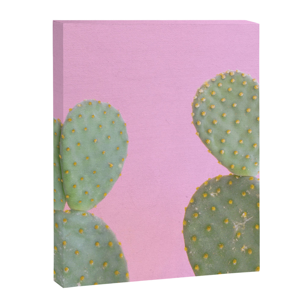 Pink Cacti Canvas Print Gallery Image 8