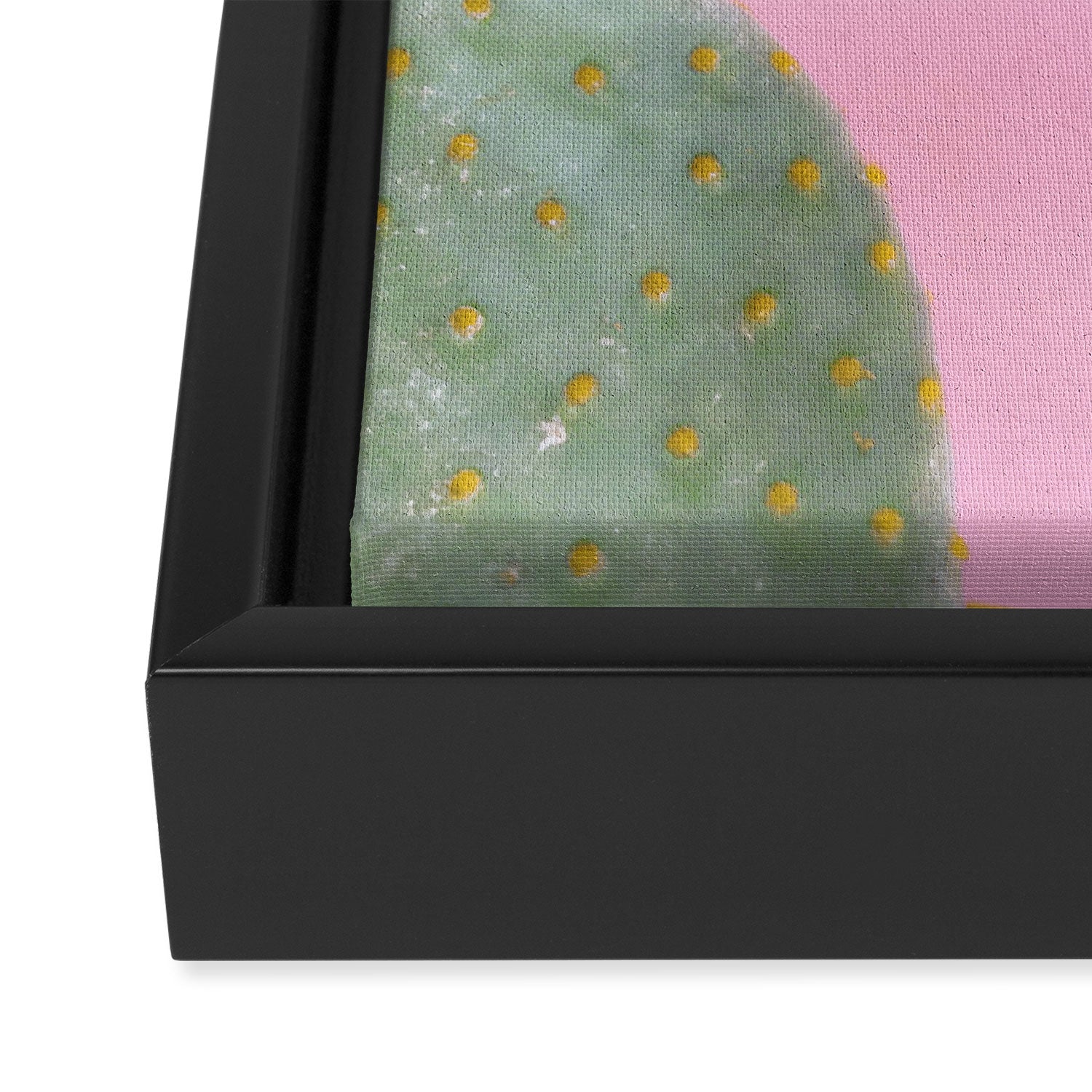 Pink Cacti Framed Canvas Print Gallery Image 3