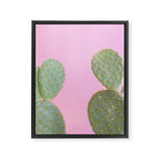 Pink Cacti Framed Canvas Print Gallery Image 8