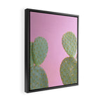 Pink Cacti Framed Canvas Print Gallery Image 2
