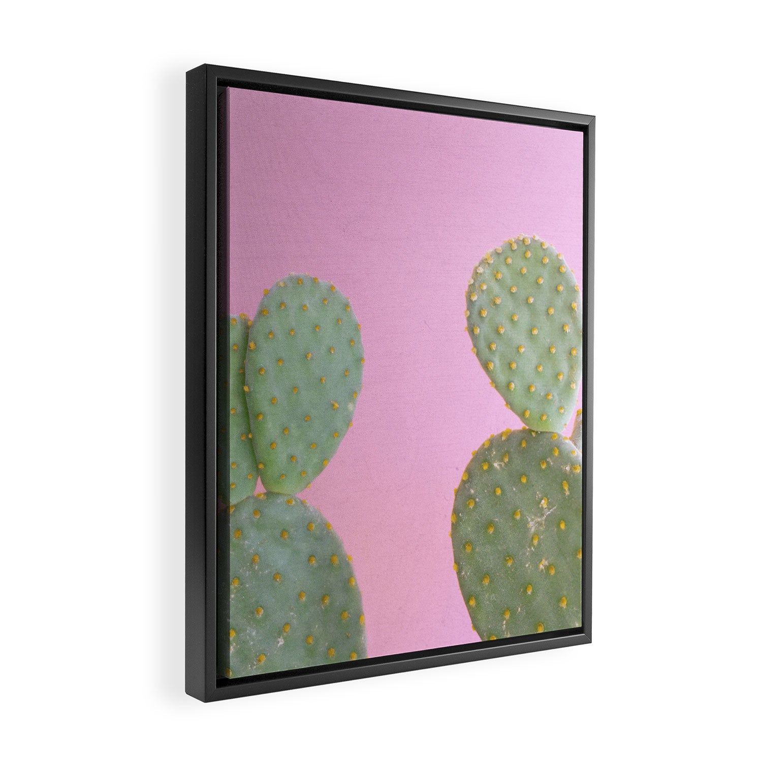 Pink Cacti Framed Canvas Print Gallery Image 2