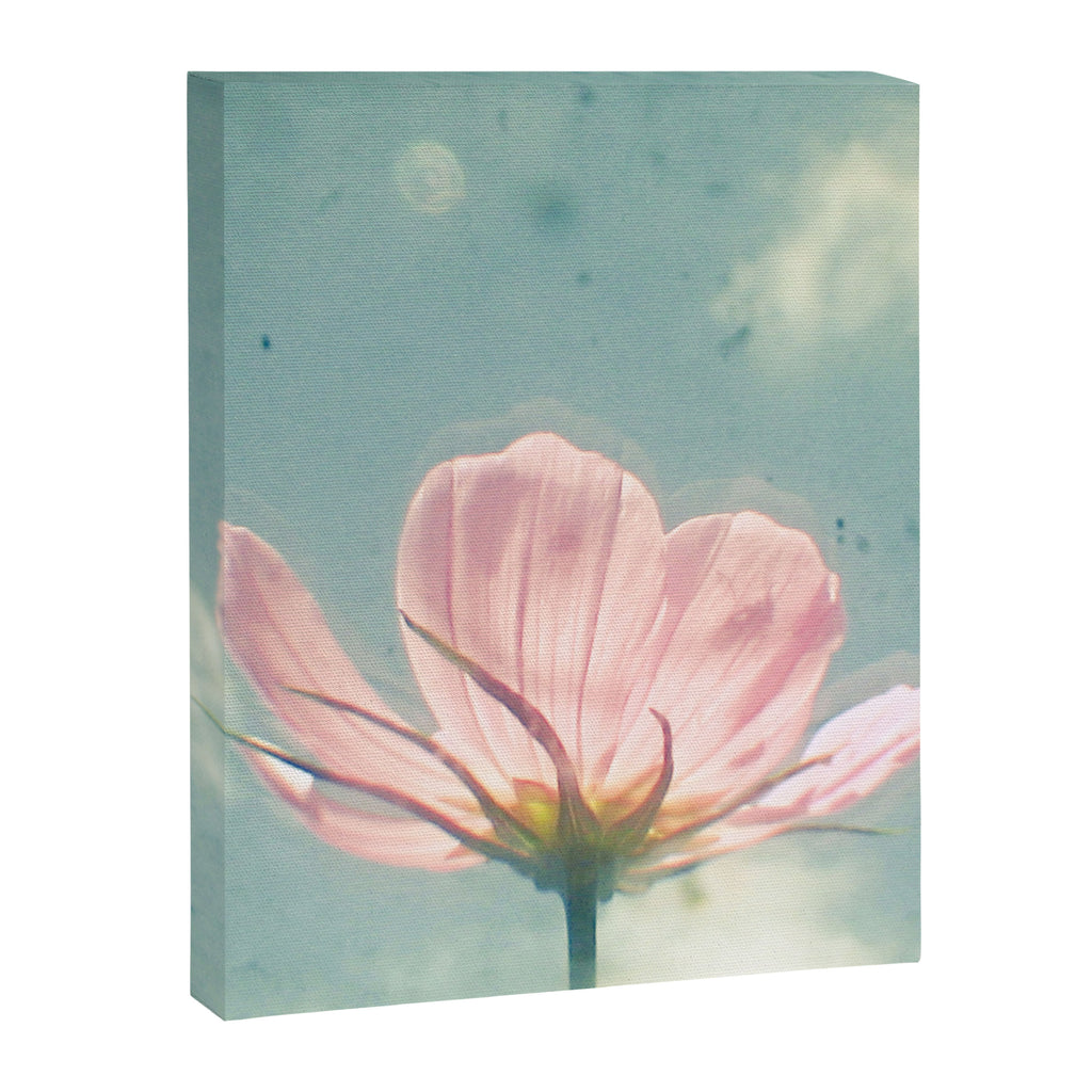 Pink Cosmos Canvas Print Gallery Image 8